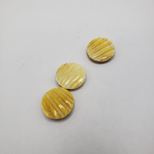 Large Yellow Coin Shell Single