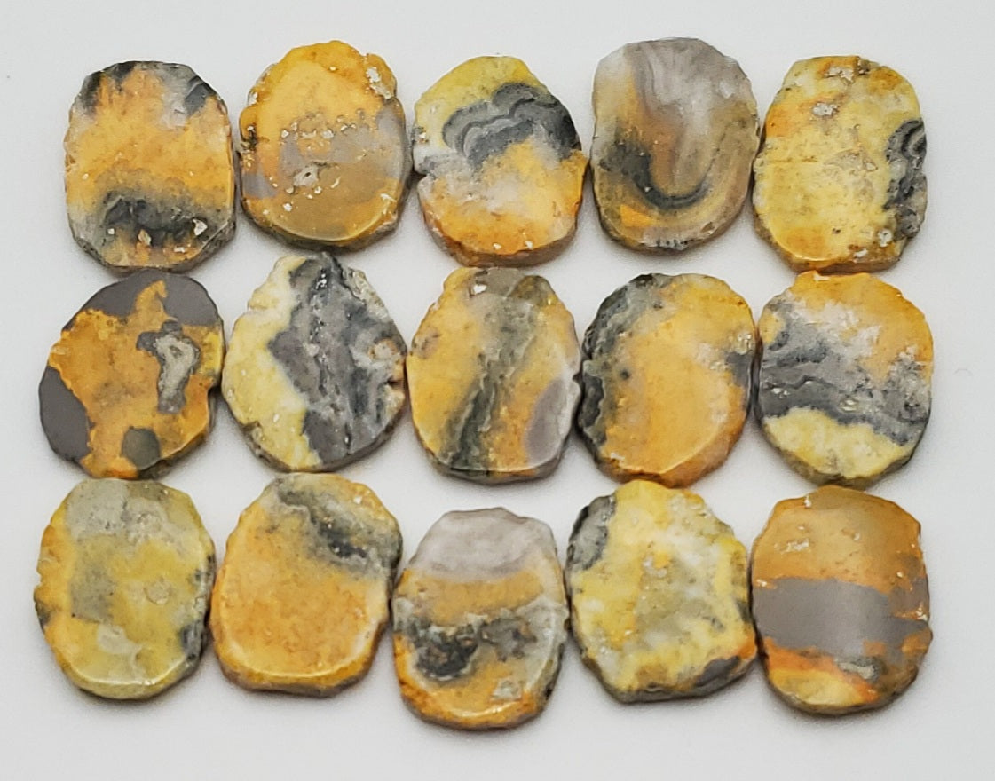 Bumblebee Jasper SINGLE