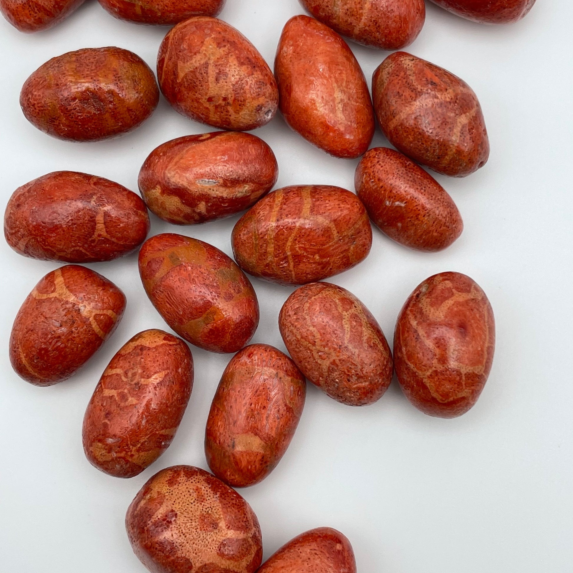 26mm Natural Red Coral Single Beads.